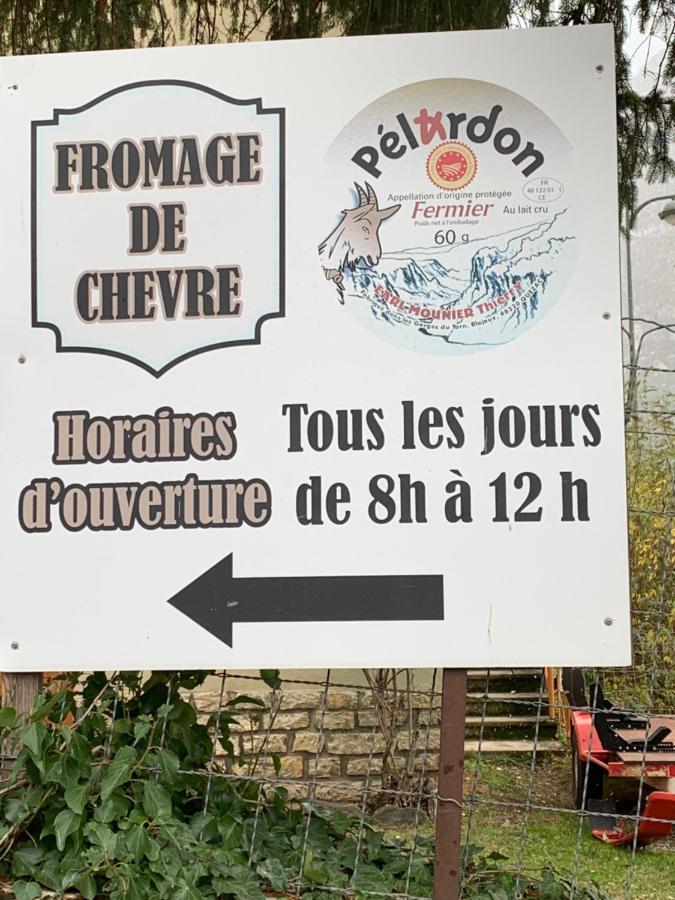 La Voutee 5 Epis Avec Bain Finlandais Prive Au Manoir Du Charme Gorges Du Tarn Bed and Breakfast Quezac  Εξωτερικό φωτογραφία