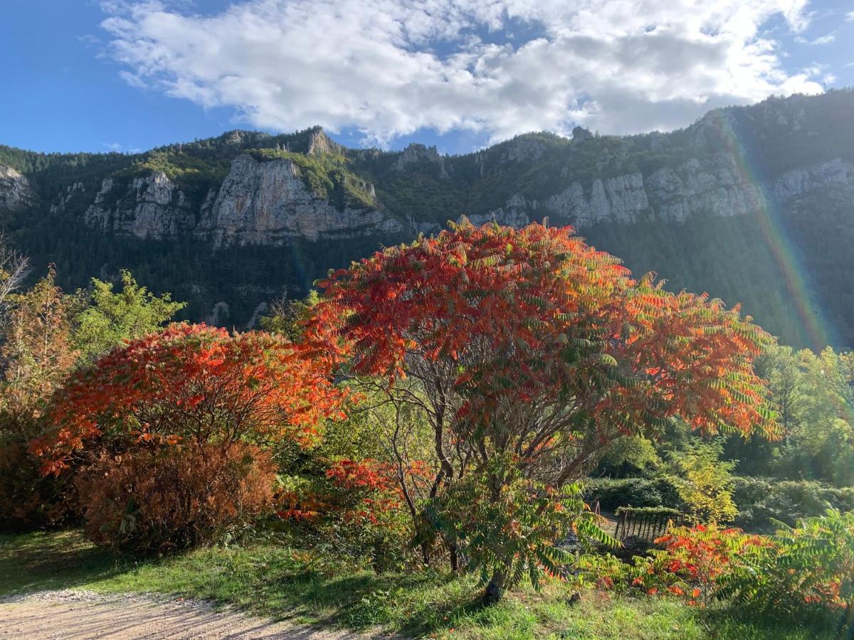 La Voutee 5 Epis Avec Bain Finlandais Prive Au Manoir Du Charme Gorges Du Tarn Bed and Breakfast Quezac  Εξωτερικό φωτογραφία