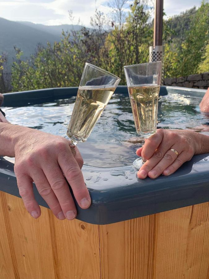 La Voutee 5 Epis Avec Bain Finlandais Prive Au Manoir Du Charme Gorges Du Tarn Bed and Breakfast Quezac  Εξωτερικό φωτογραφία